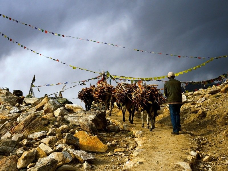 nako bij pas erboven