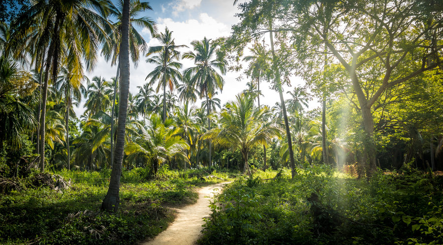 Tayrona Nationaal Park
