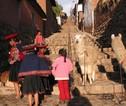 Lama's in de stad, Zuid-Amerika