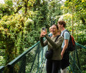 Familiereis hangbruggen Costa Rica