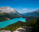 Familiereis Canada Peyto Lake