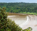 Familiereis Maleisisch Borneo Bako park