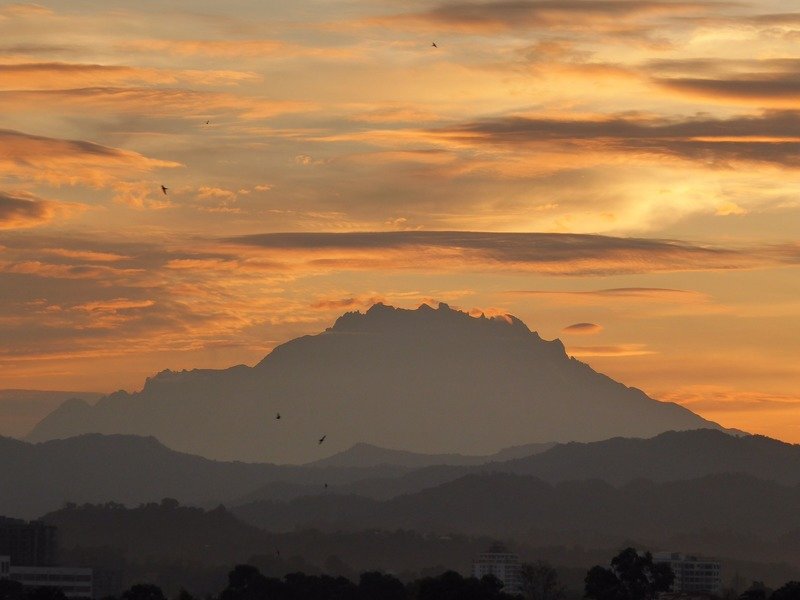 Familiereis Maleisisch Borneo Kinabalu park