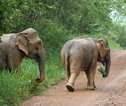 Rondreis Thailand Kui Buri