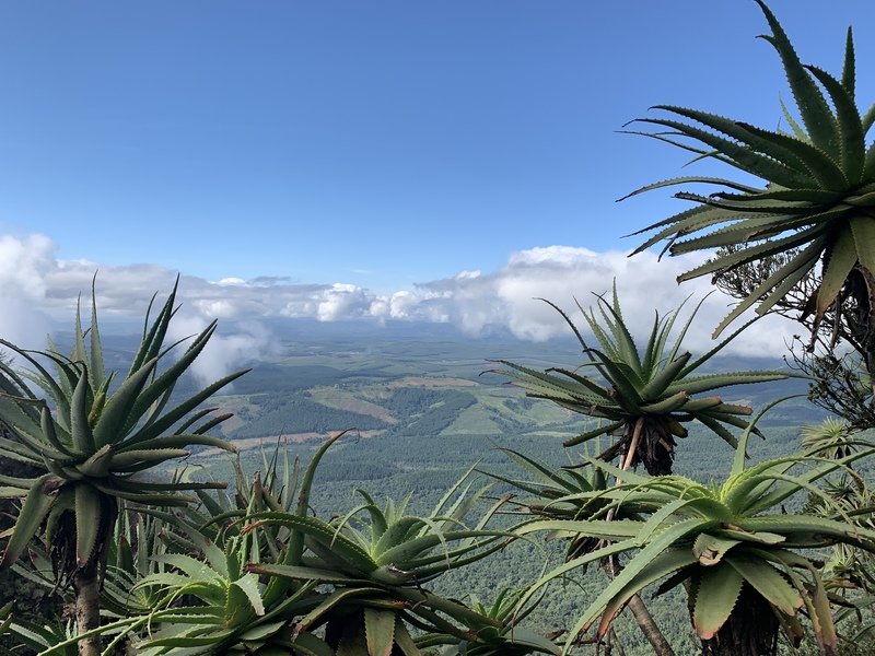 Rondreis Zuid-Afrika Panoramaroute