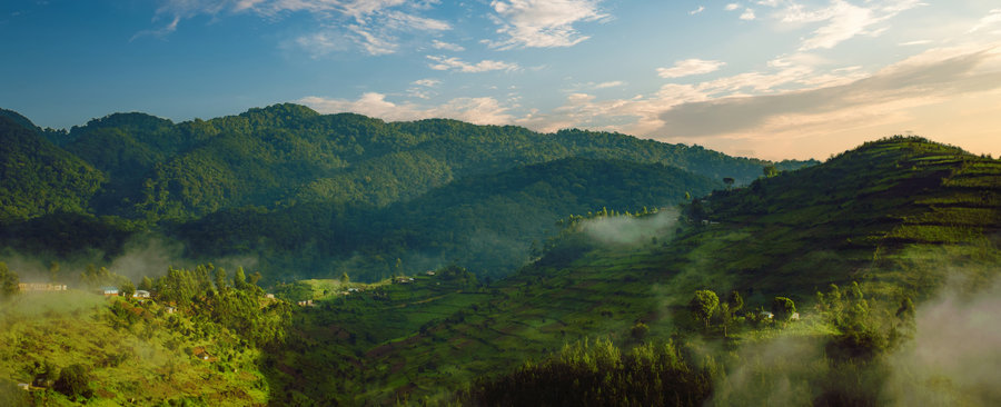 Rondreis Uganda Bwindi