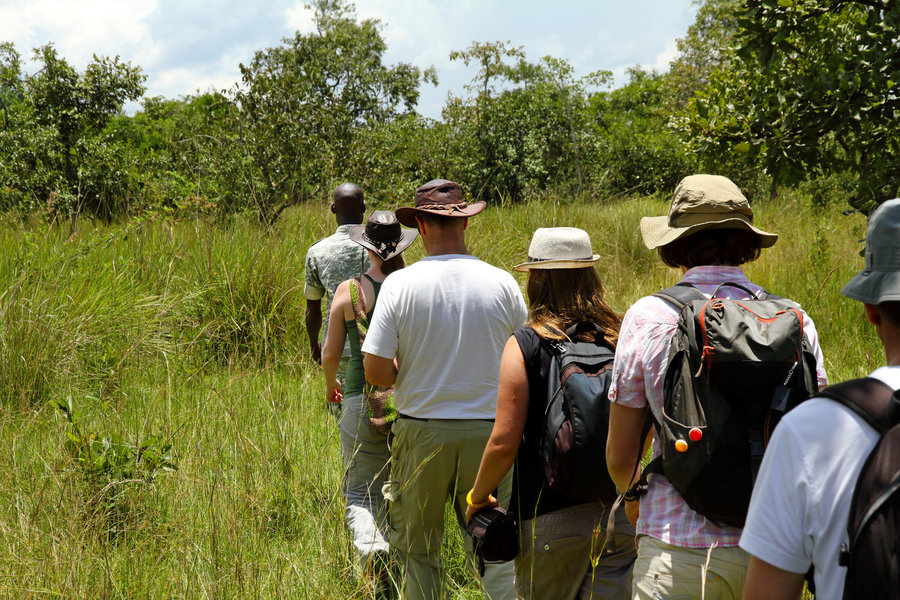 Rondreis Uganda Wandelen