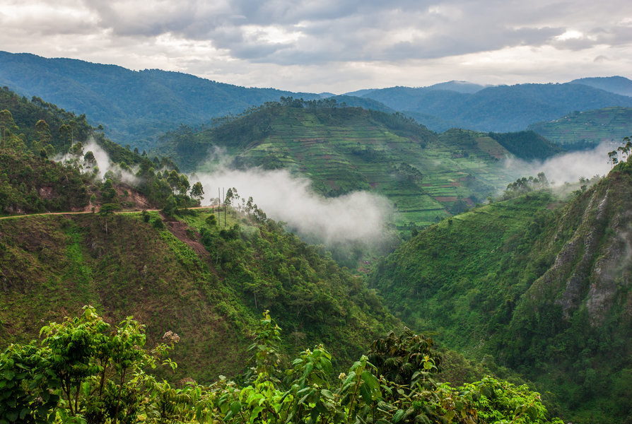 Rondreis Uganda Groen