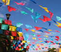 Mexico vlaggtejes
