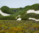 Rondreis Zuid-Afrika De Hoop Natuur Reservaat