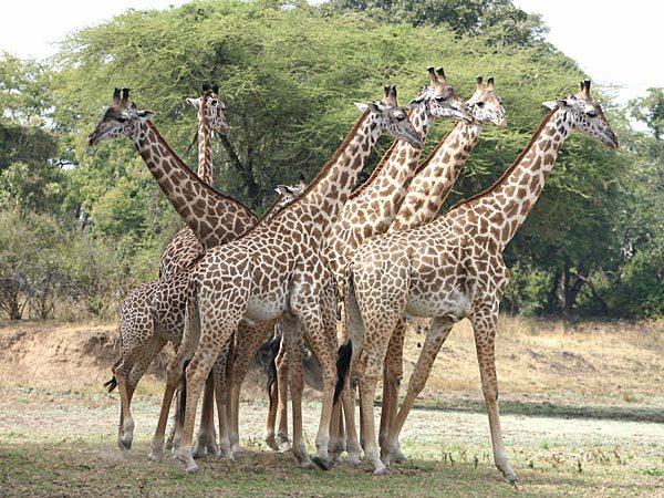 Zuid-Afrika en Mozambique