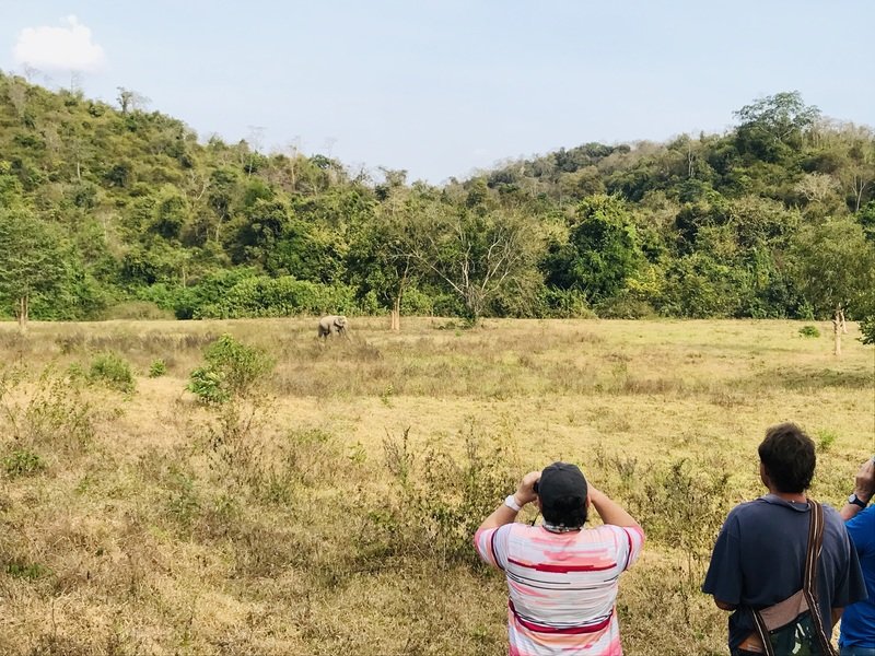 Rondreis Thailand Mae Hong Son olifanten