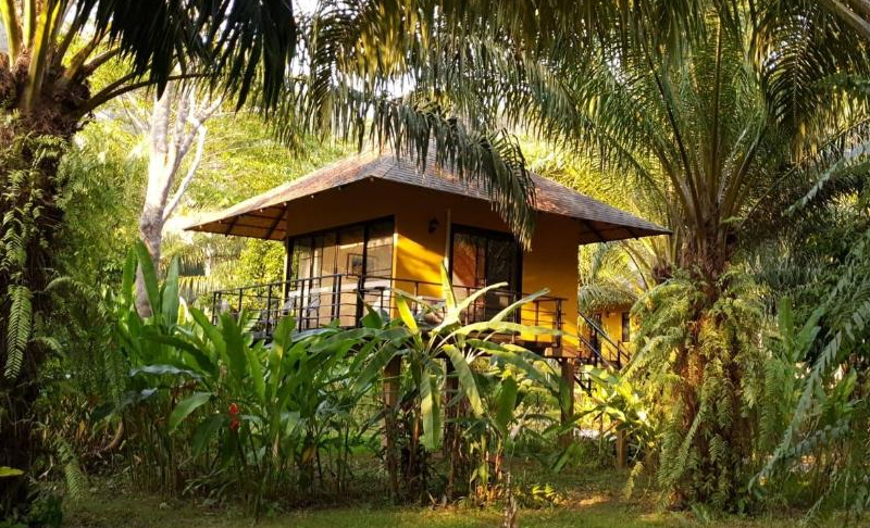 Anurak Lodge - Khao Sok Thailand