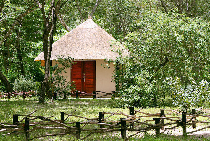 Gwango Elephant Lodge Hwange Zimbabwe