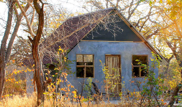 Gwango Elephant Lodge Hwange Zimbabwe