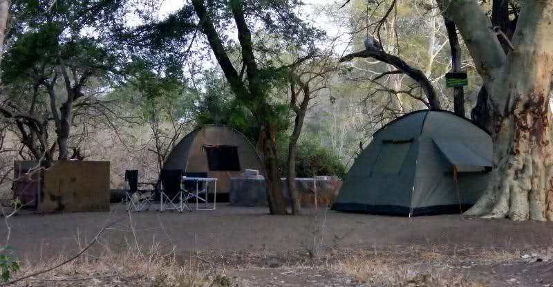 kamperen, tent