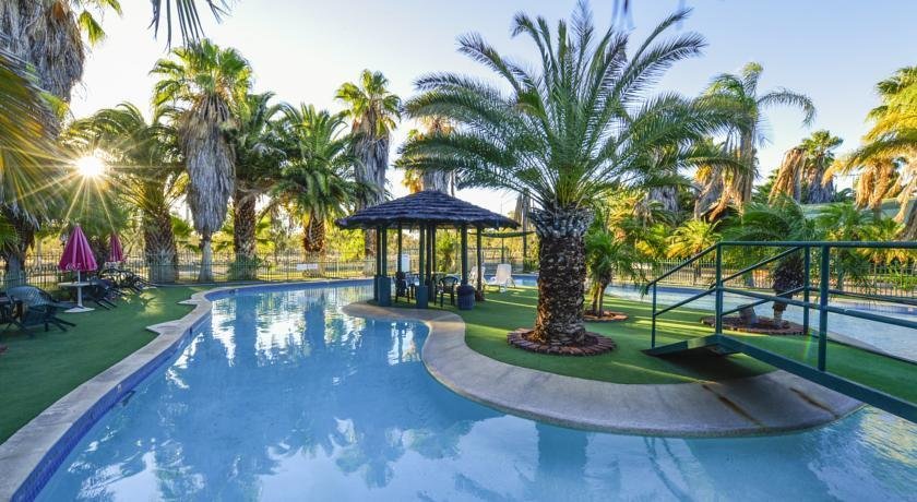 Desert Palms Alice Springs