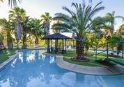 Desert Palms Alice Springs