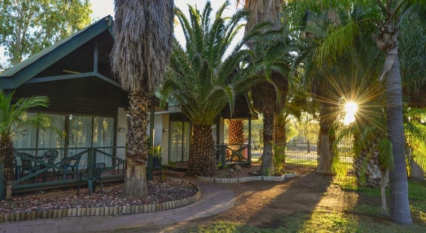 Desert Palms Alice Springs
