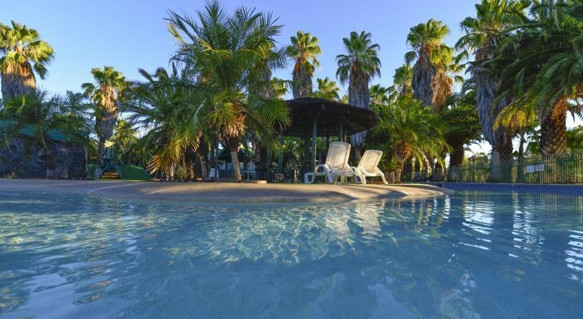 Desert Palms Alice Springs