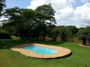 Savage Wilderniss zwembad