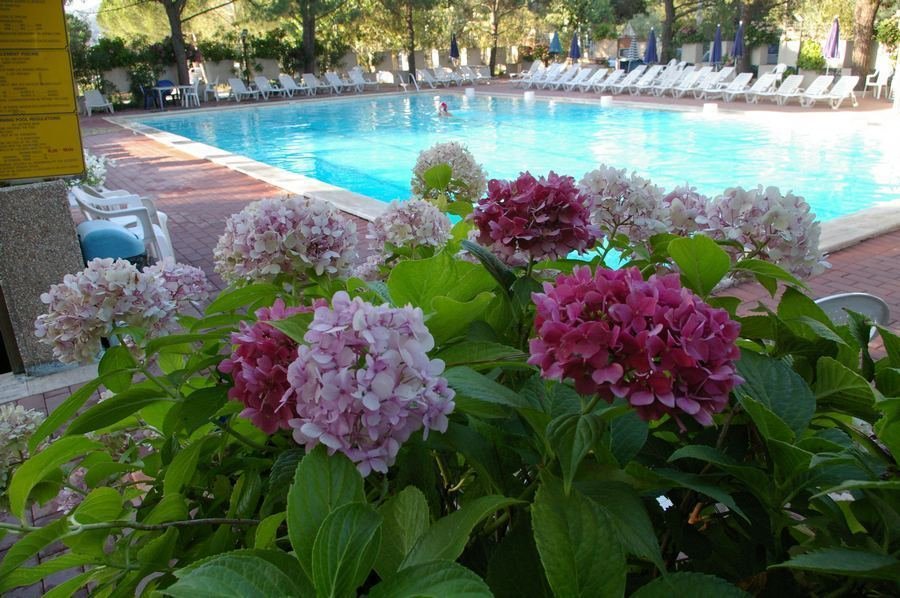 Camping Villaggio Turistico Punta Navaccia