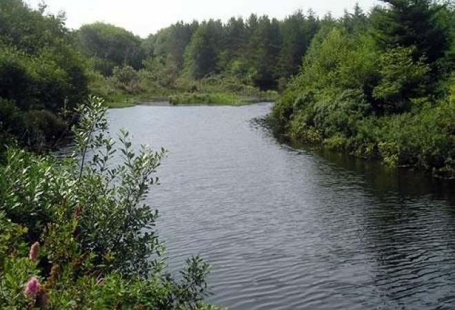 Kamperen in Noordwest USA