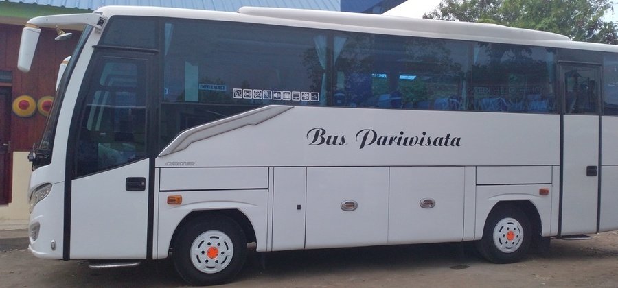 bus sulawesi