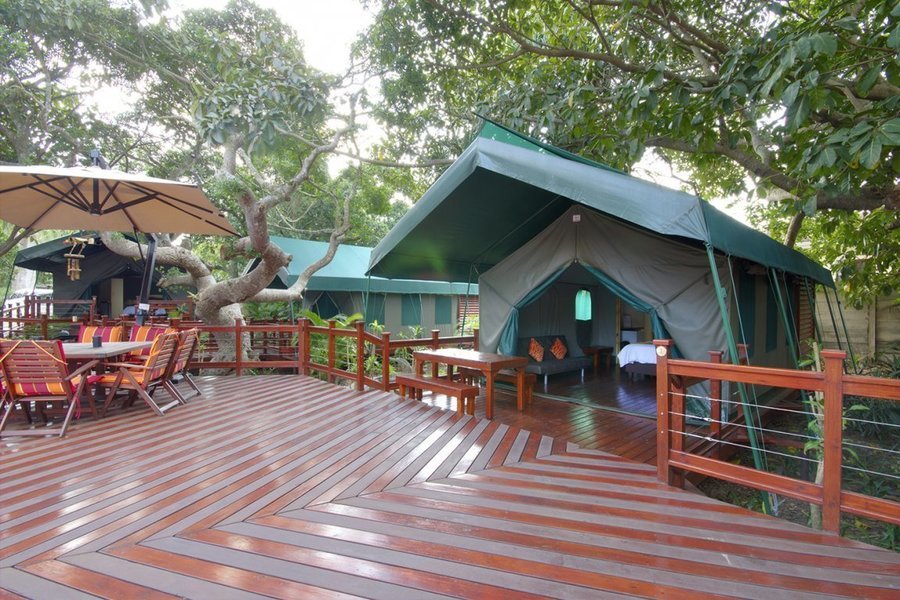 Monzi Safaris - tent