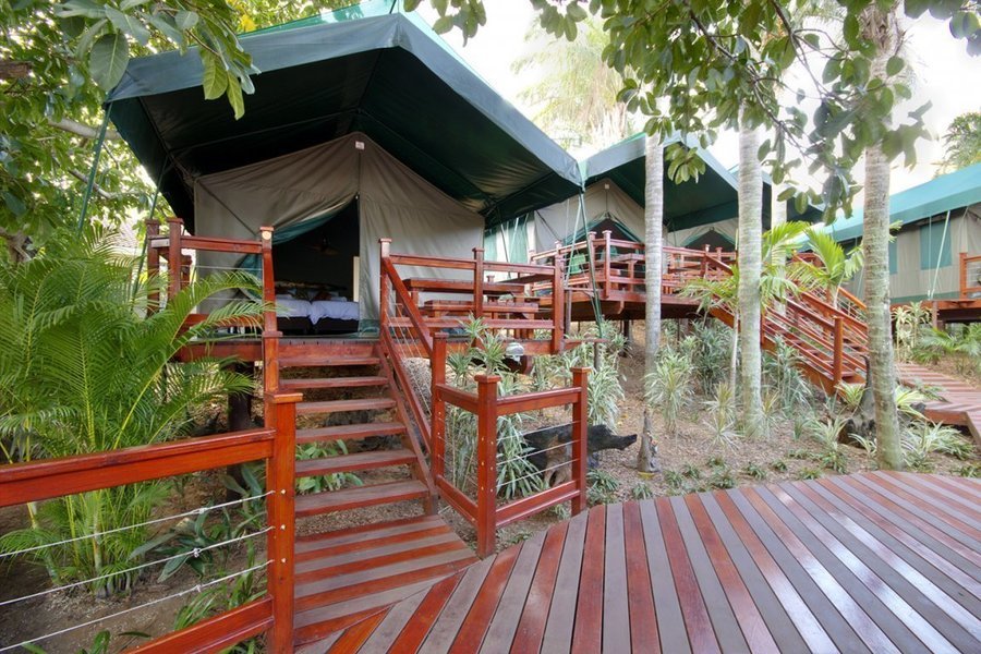 Monzi Safaris - tent