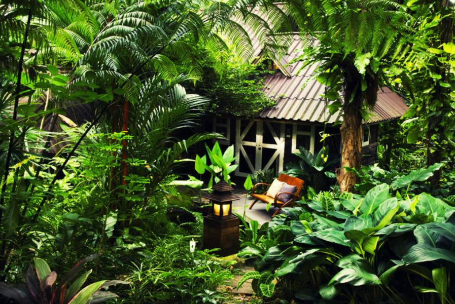 Rainforest Resort Phitsanulok - hutje