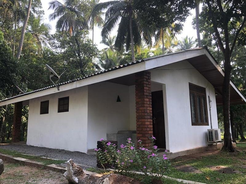 Countryside hotel - bungalow