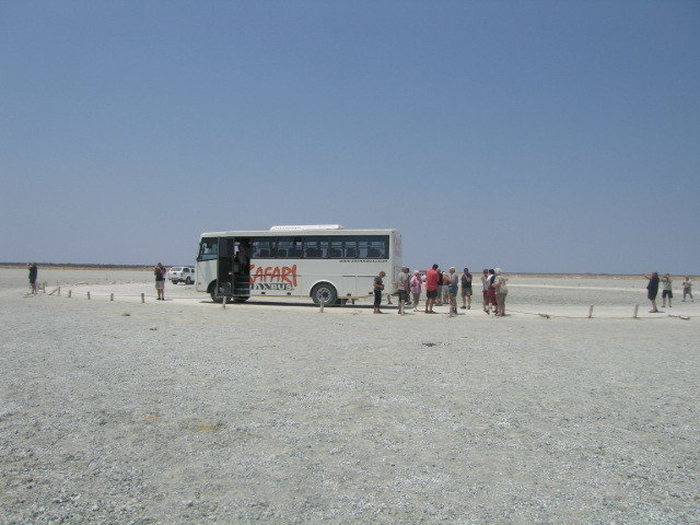 safaribus 2