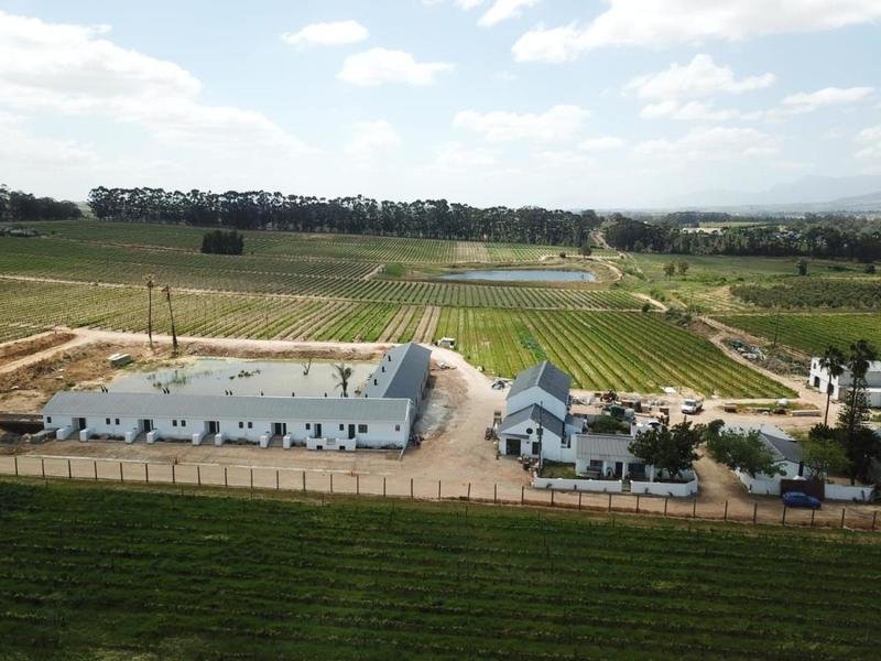 Middelplaas Paarl Guesthouse