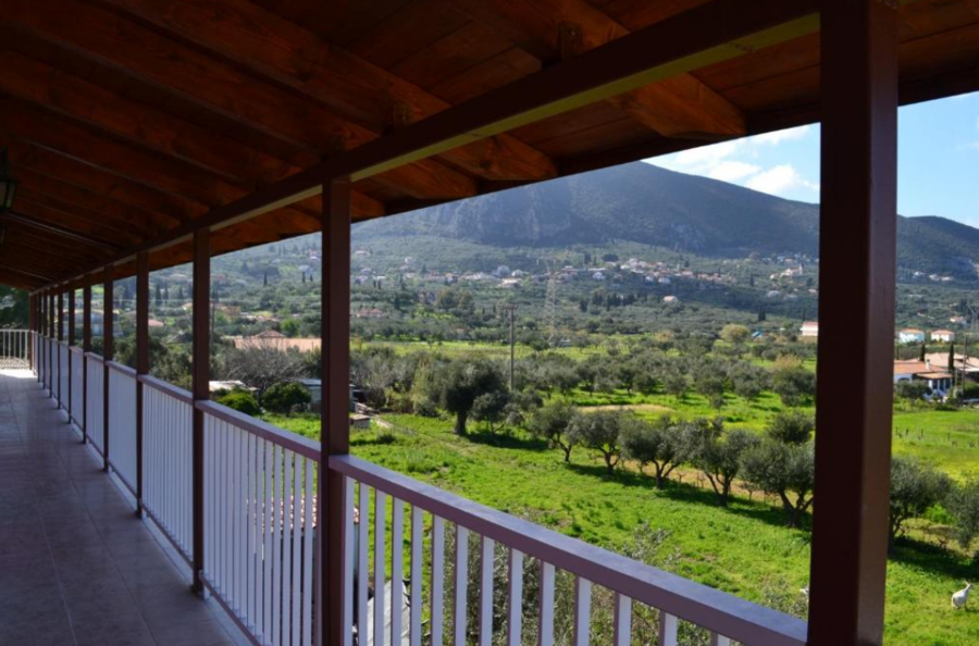 Giannis Studios Alykes Zakynthos Griekenland