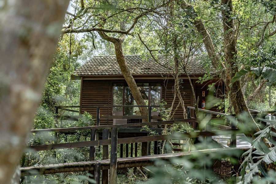 Bushland Game Lodge Hluhluwe Zuid-Afrika