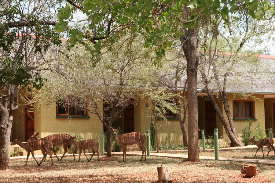 Kubu Safari Lodge