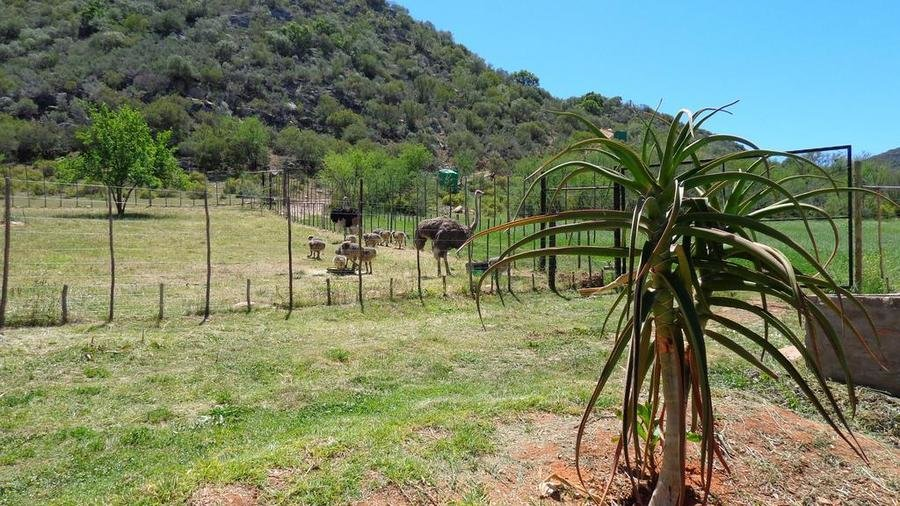 De oude Meul Country Lodge