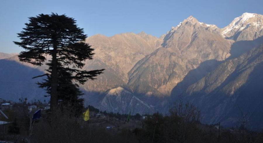 Kinner Villa India Omgeving