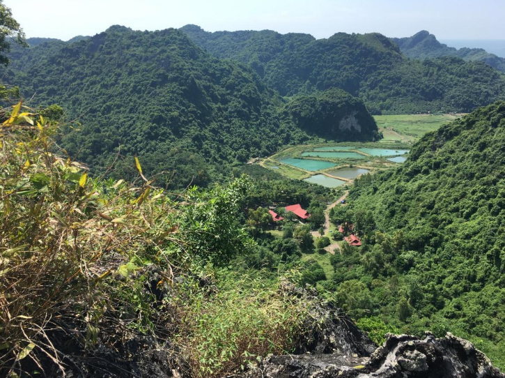 Cat Ba Eco Lodge Omgeving