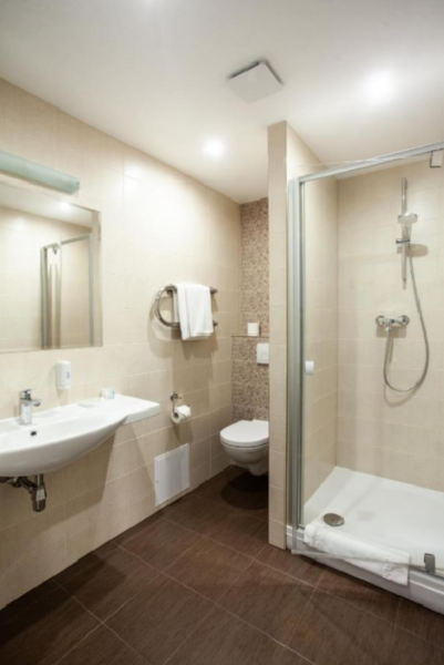 Hotel Cesis Letland Badkamer