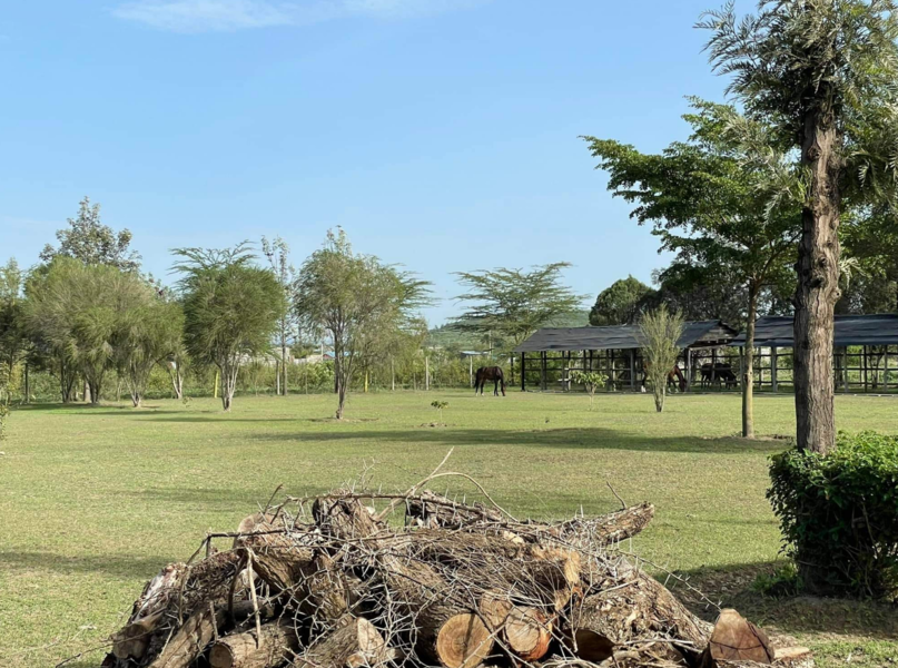 Nderit campsite Nakuru Kenia