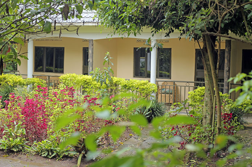 Kibale Forest lodge Uganda