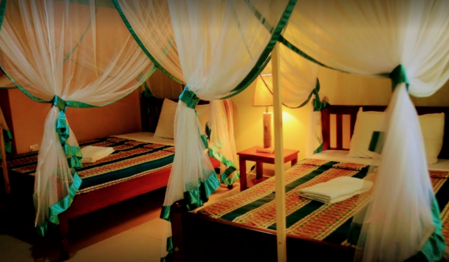 Kibale Forest lodge Uganda