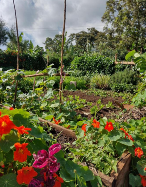 Home of Friends Kapchorwa Uganda