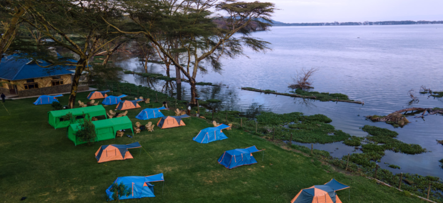 Oloiden Flamingo Campsite Naivasha Kenia