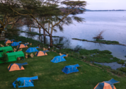 Oloiden Flamingo Campsite Naivasha Kenia