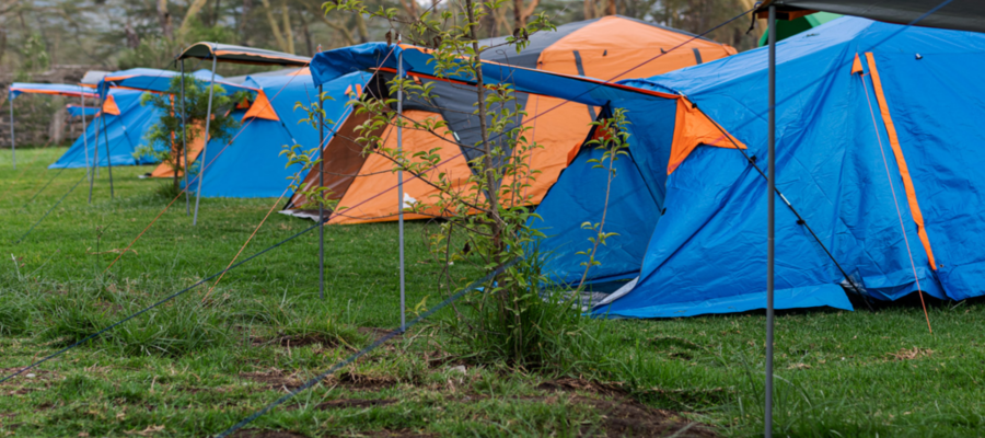 Oloiden Flamingo Campsite Naivasha Kenia