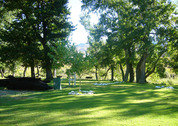 Driehoek Guest Farm 