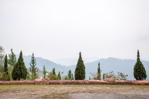 Zen Garden Resort - Kinabalu - Maleisie - Uitzicht